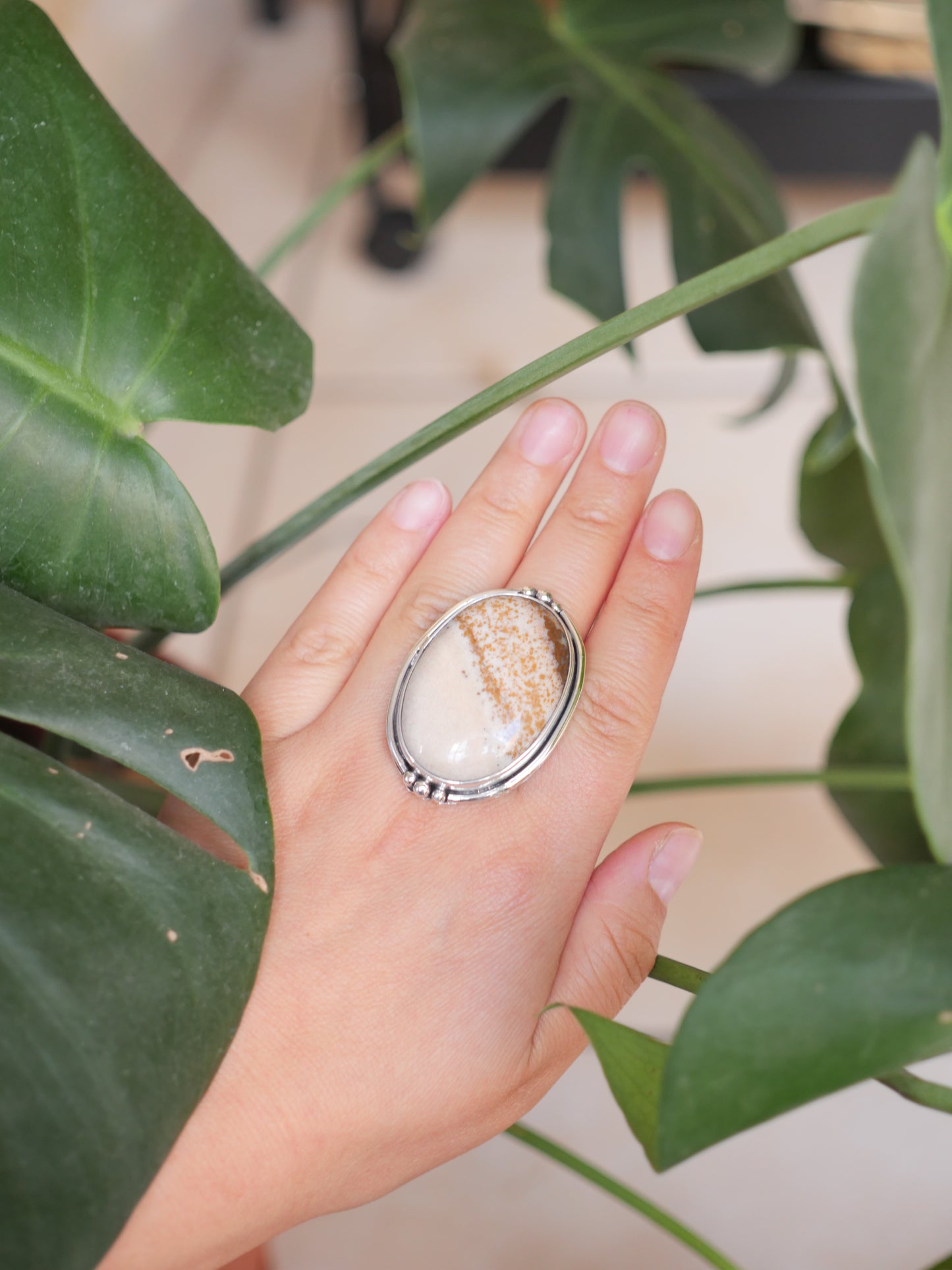 Anillo Bailey