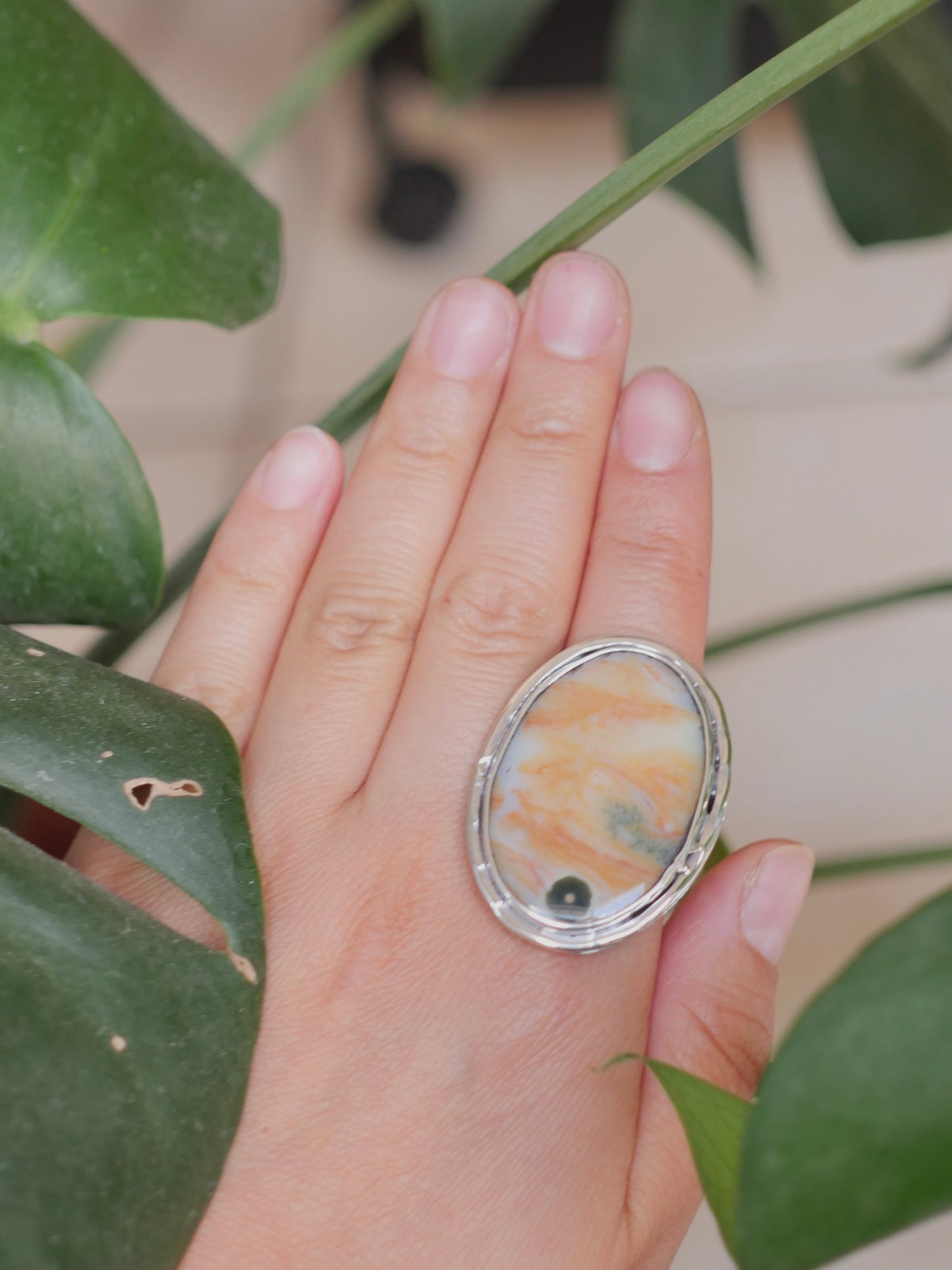 Anillo kenosha