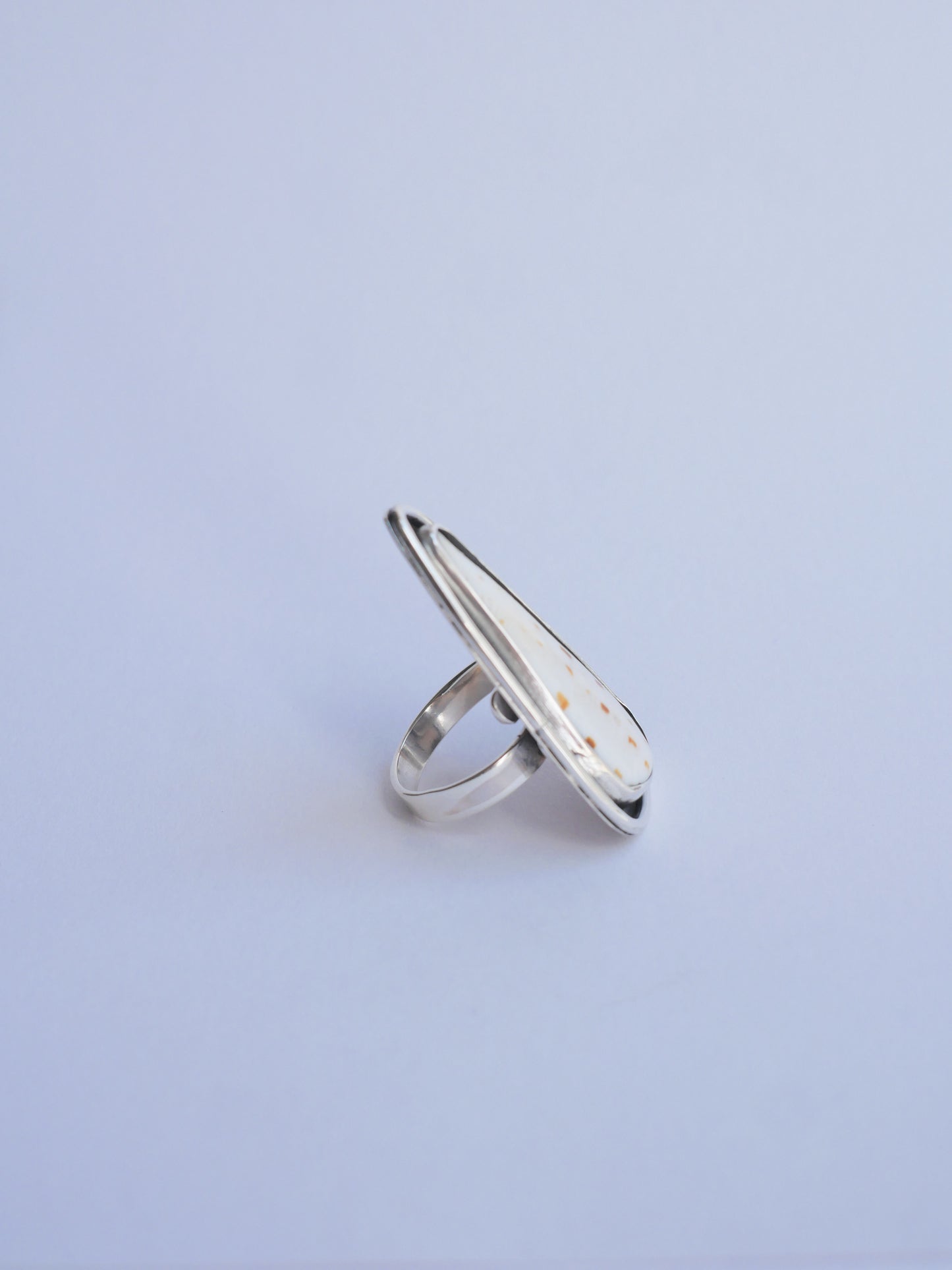 Anillo_01