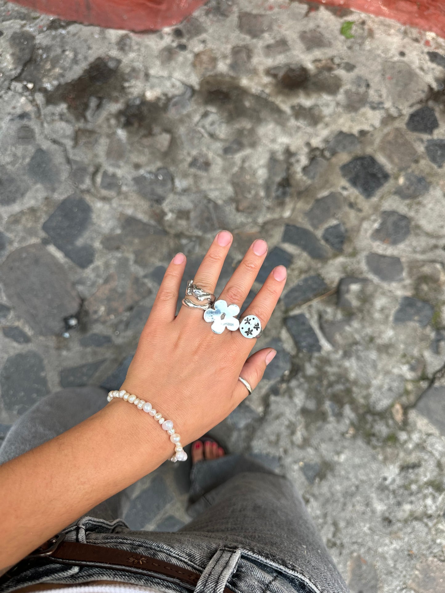 Anillo José