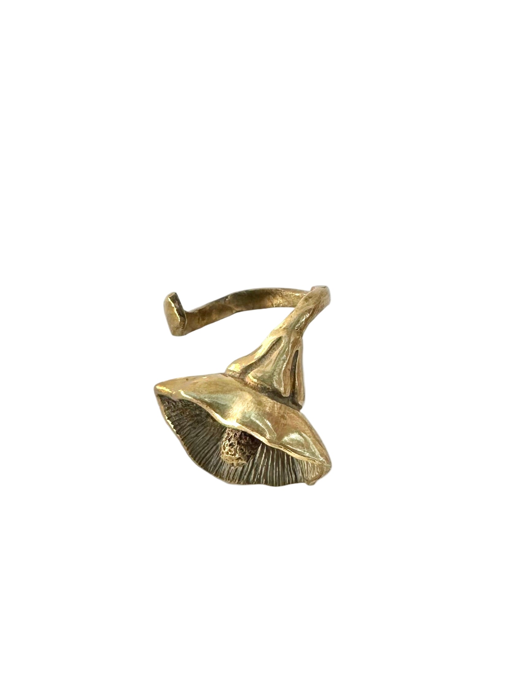 Anillo alcatraz