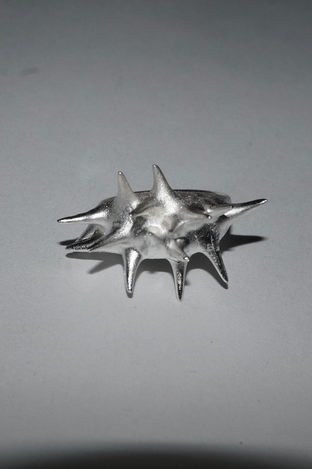 Anillo espina