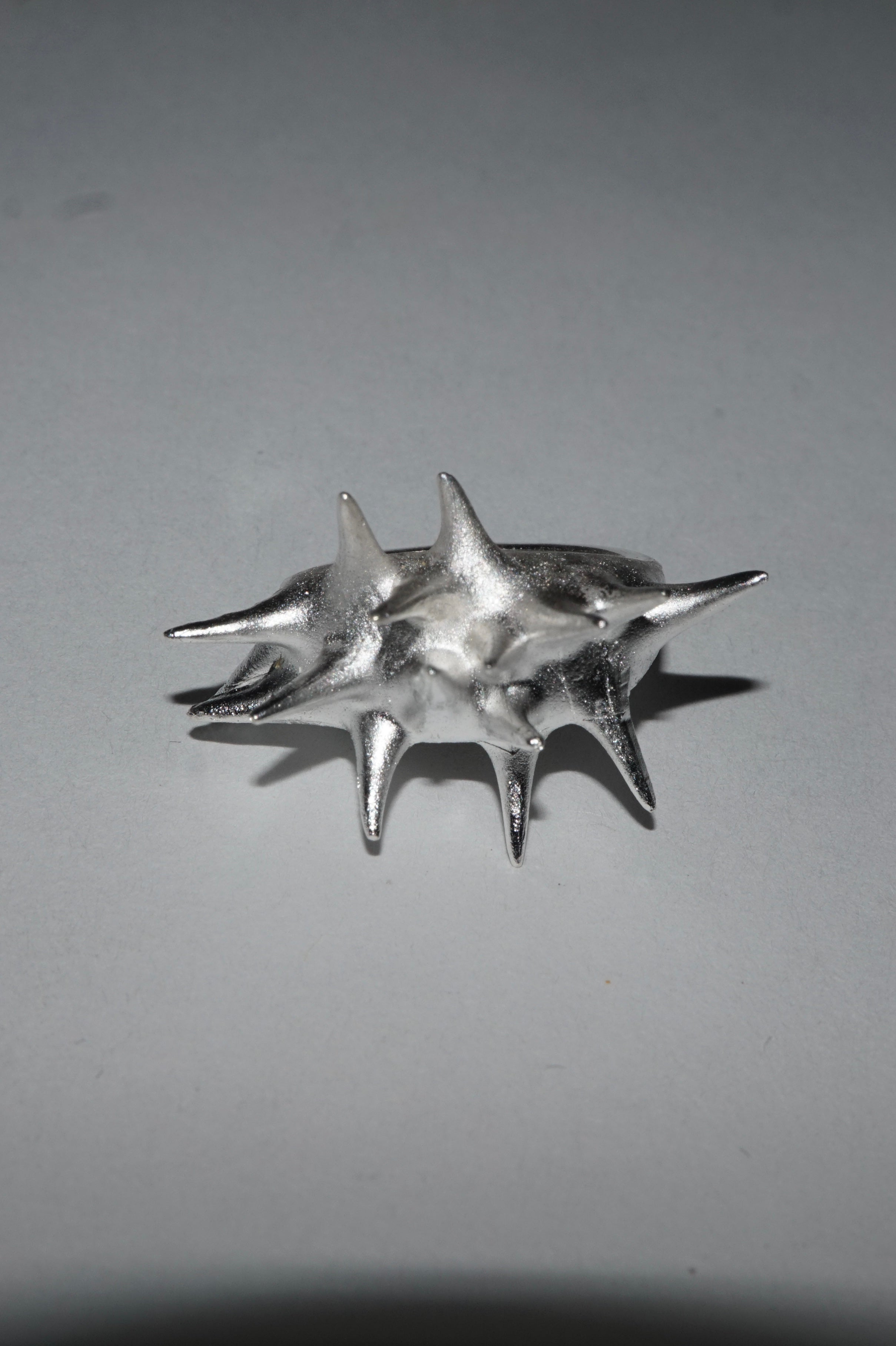 Anillo espina