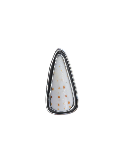 Anillo_01