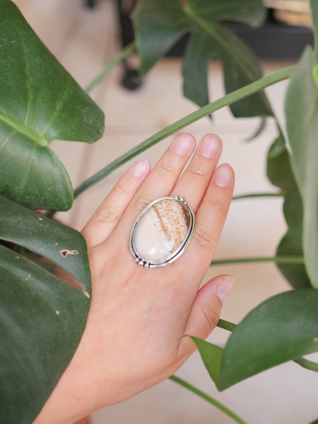Anillo Bailey