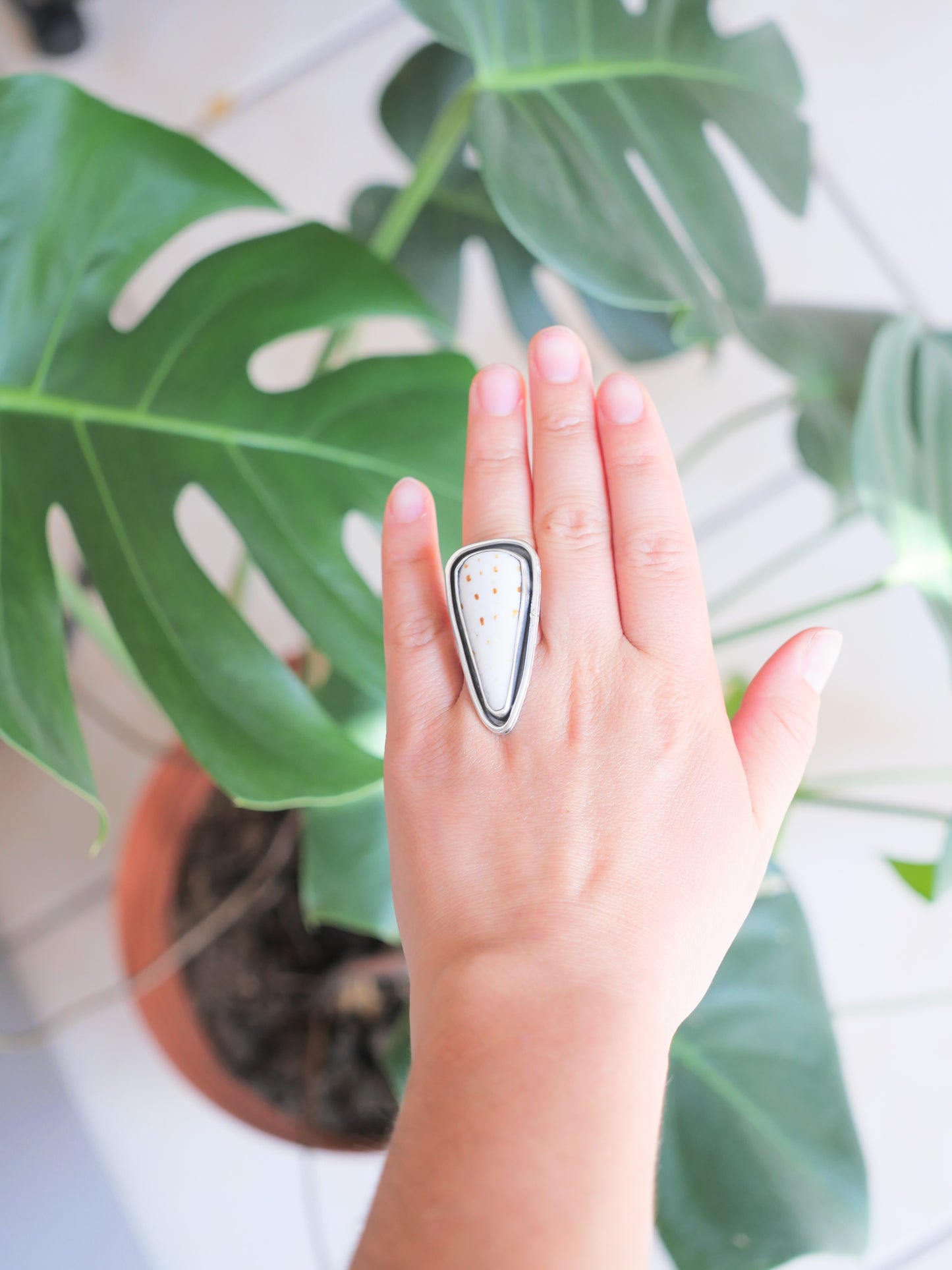 Anillo_01