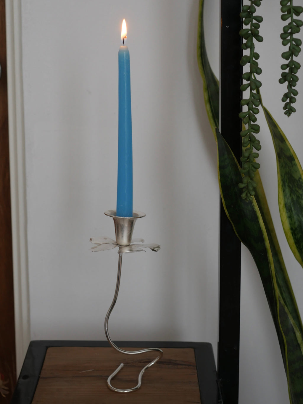 Portavelas Daffodil