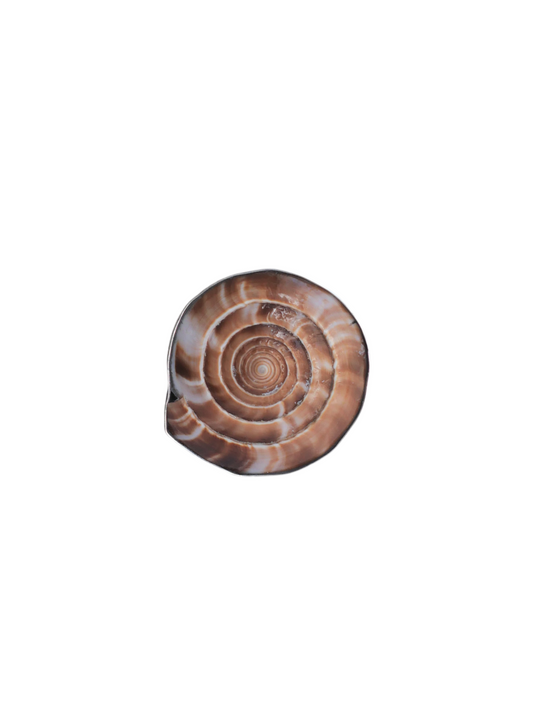 Anillo caracol