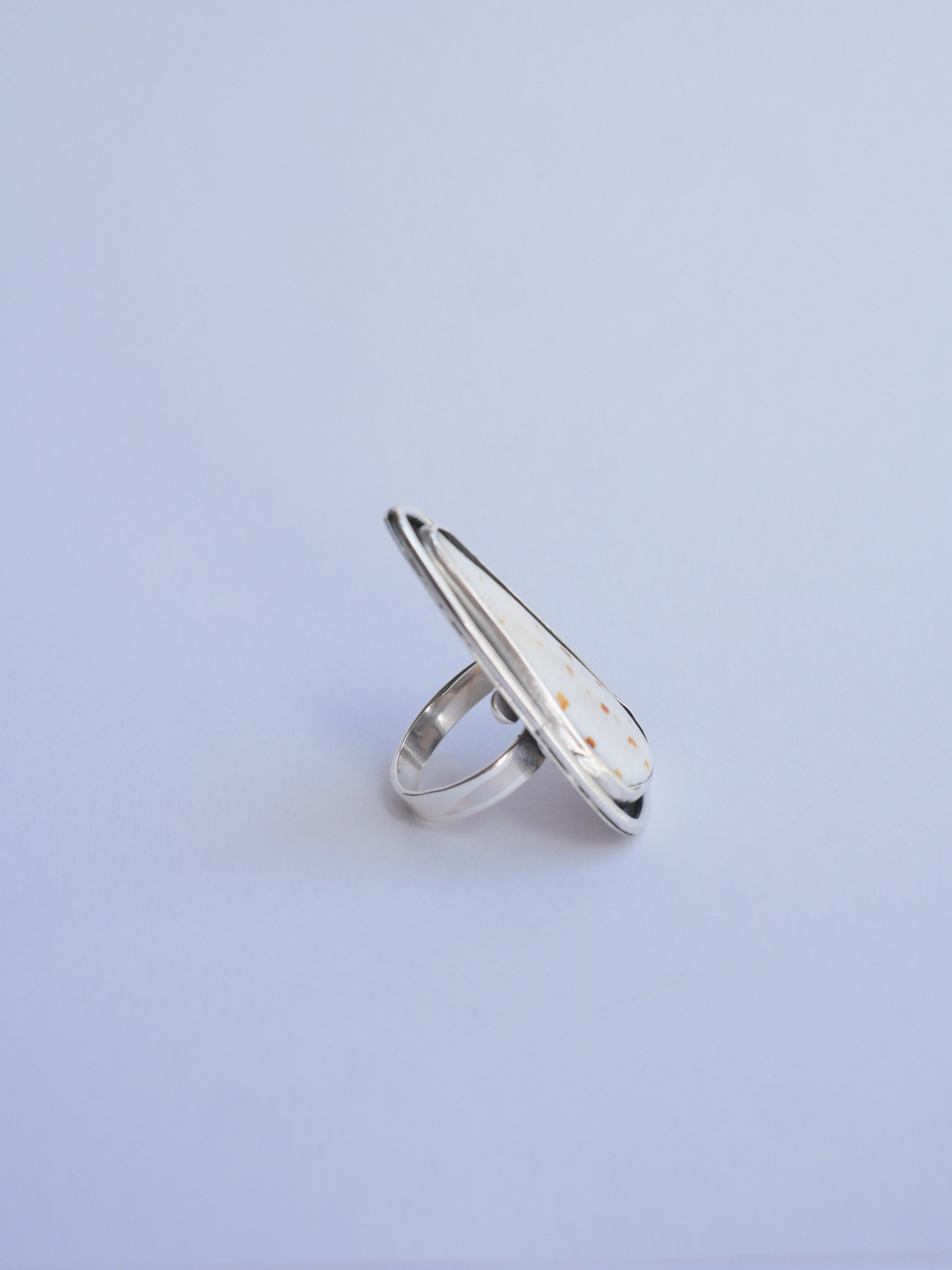 Anillo_01