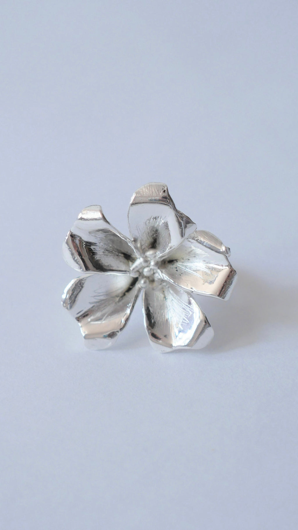 Anillo cosmos