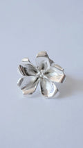 Anillo cosmos