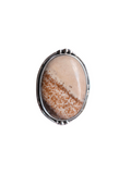 Anillo Bailey