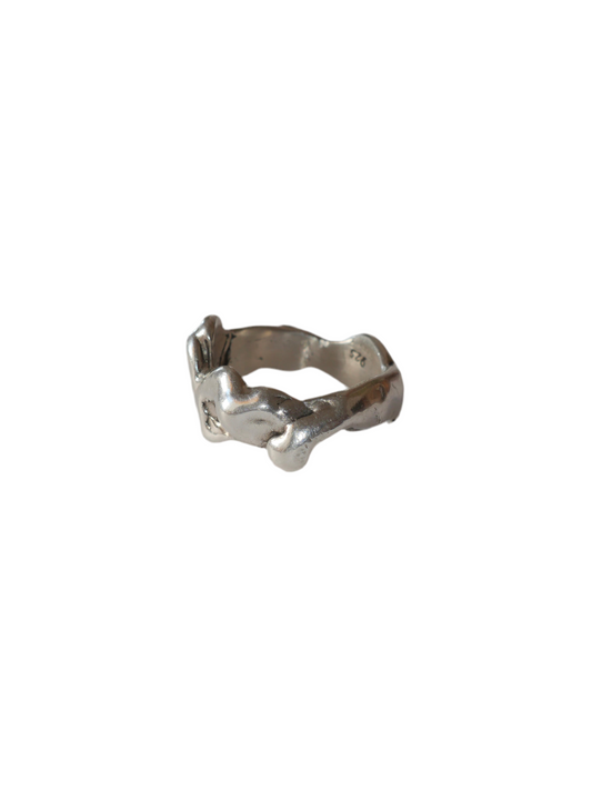 Anillo José