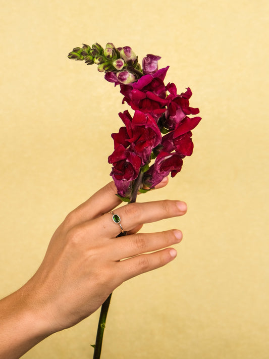 Anillo bloom