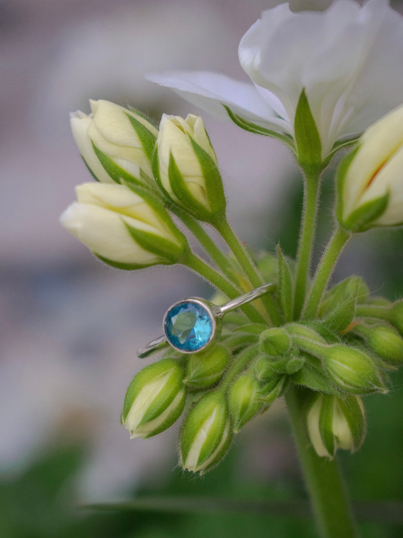 Anillo something blue