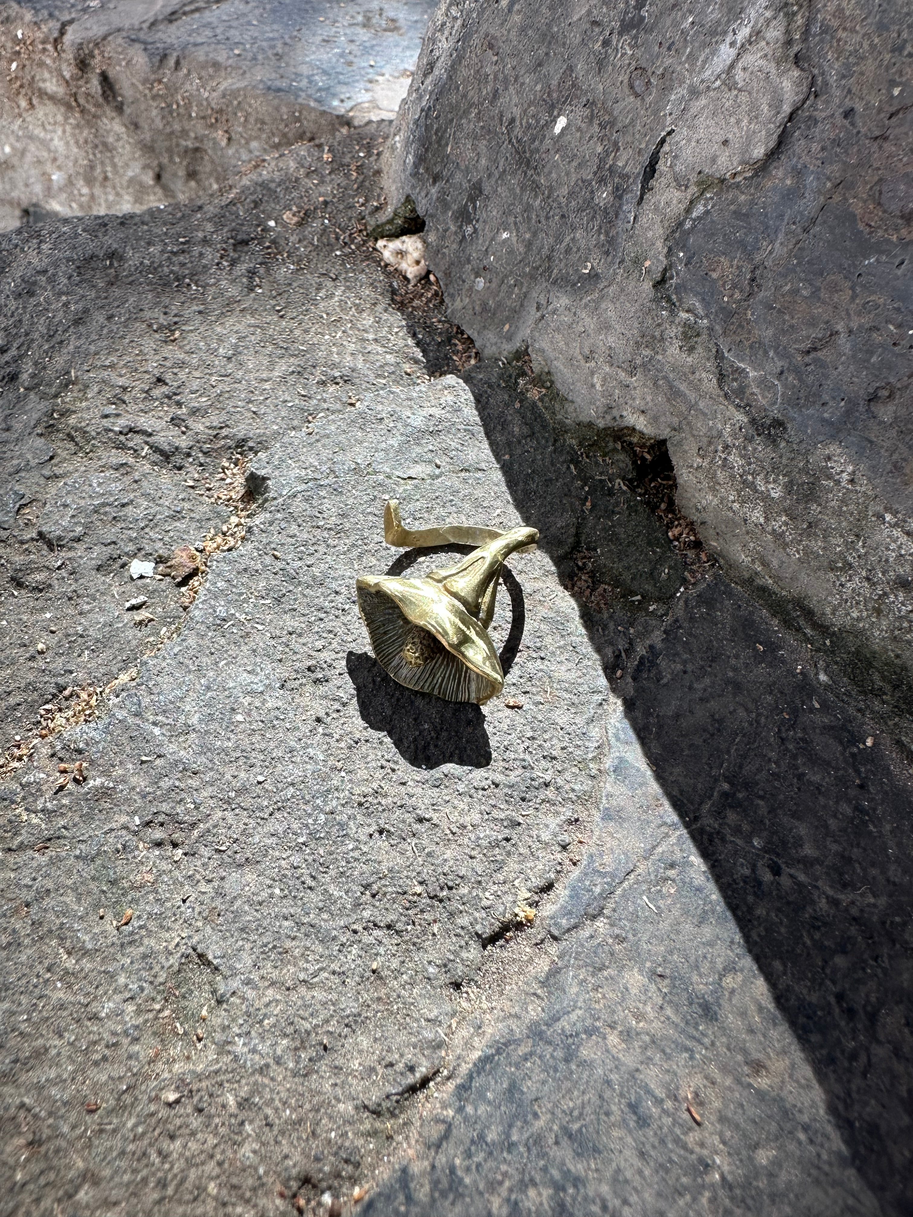 Anillo alcatraz