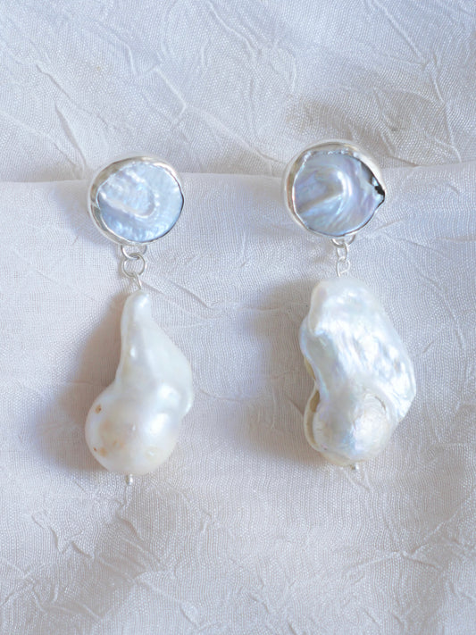 Aretes ostra