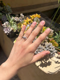 Anillo julio 01