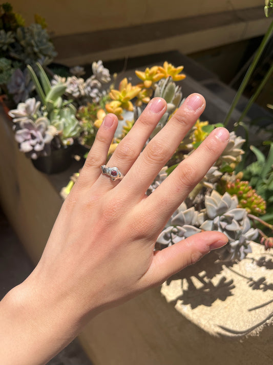 Anillo julio 01
