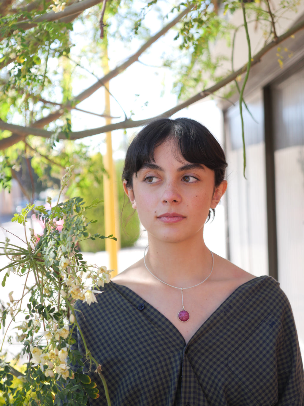 Collar Ciruela