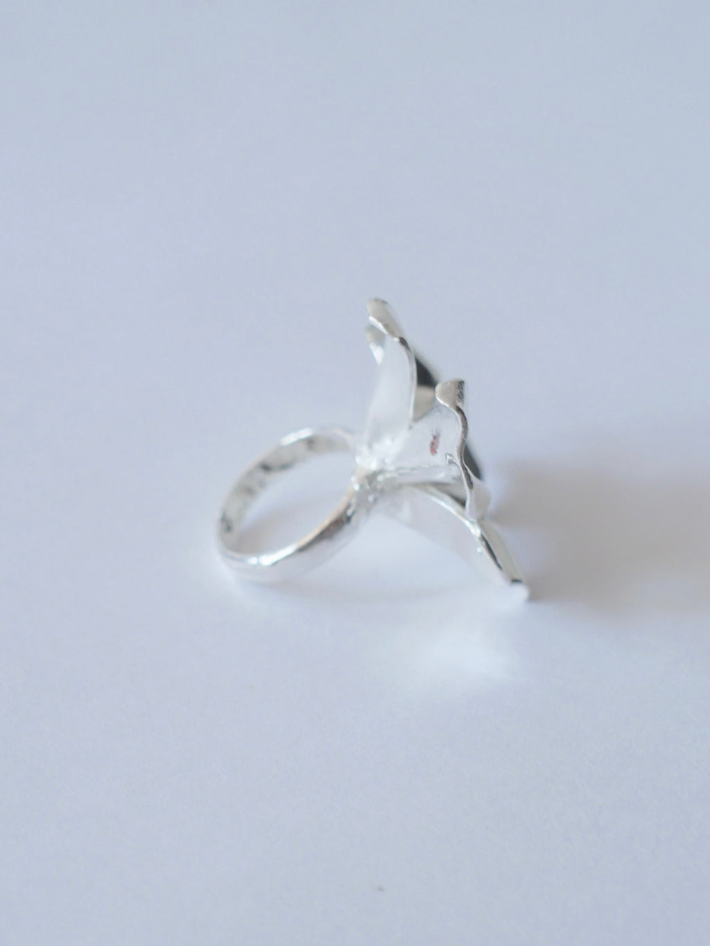 Anillo cosmos