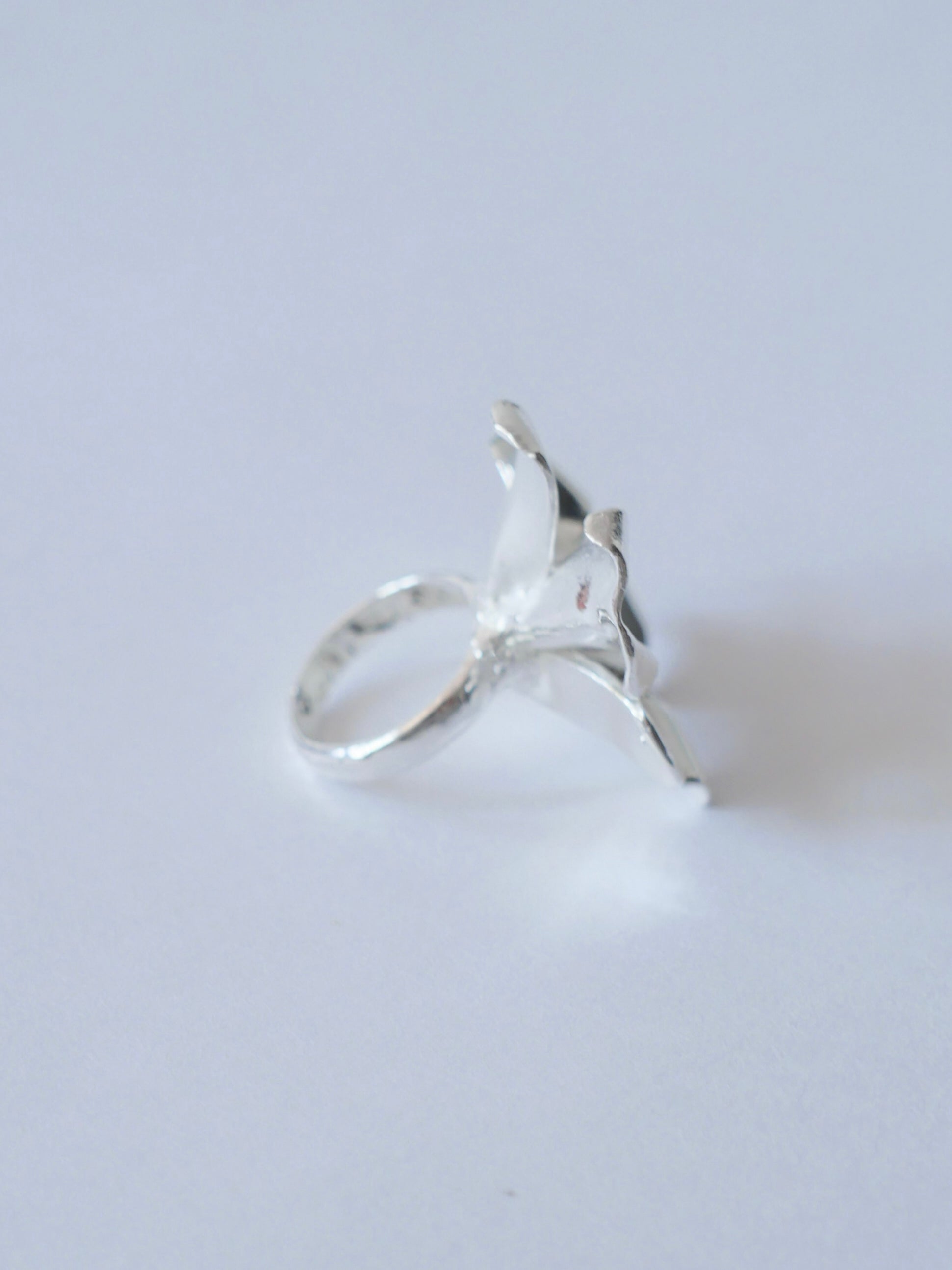Anillo cosmos