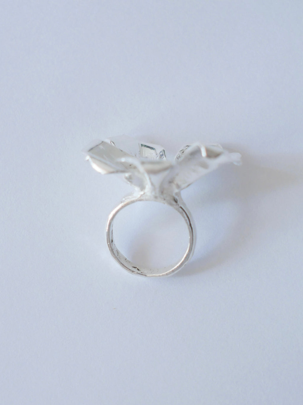 Anillo cosmos
