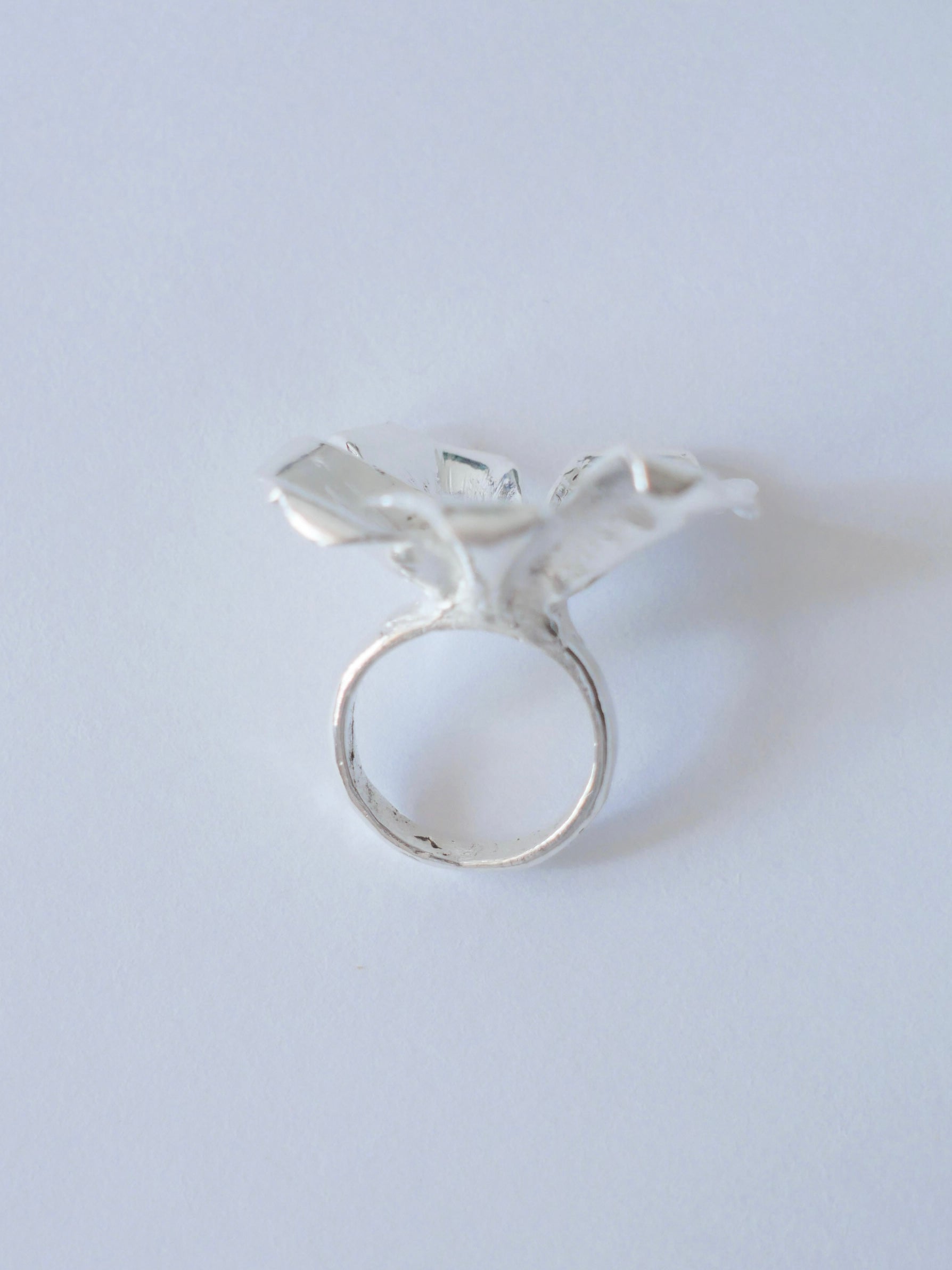 Anillo cosmos