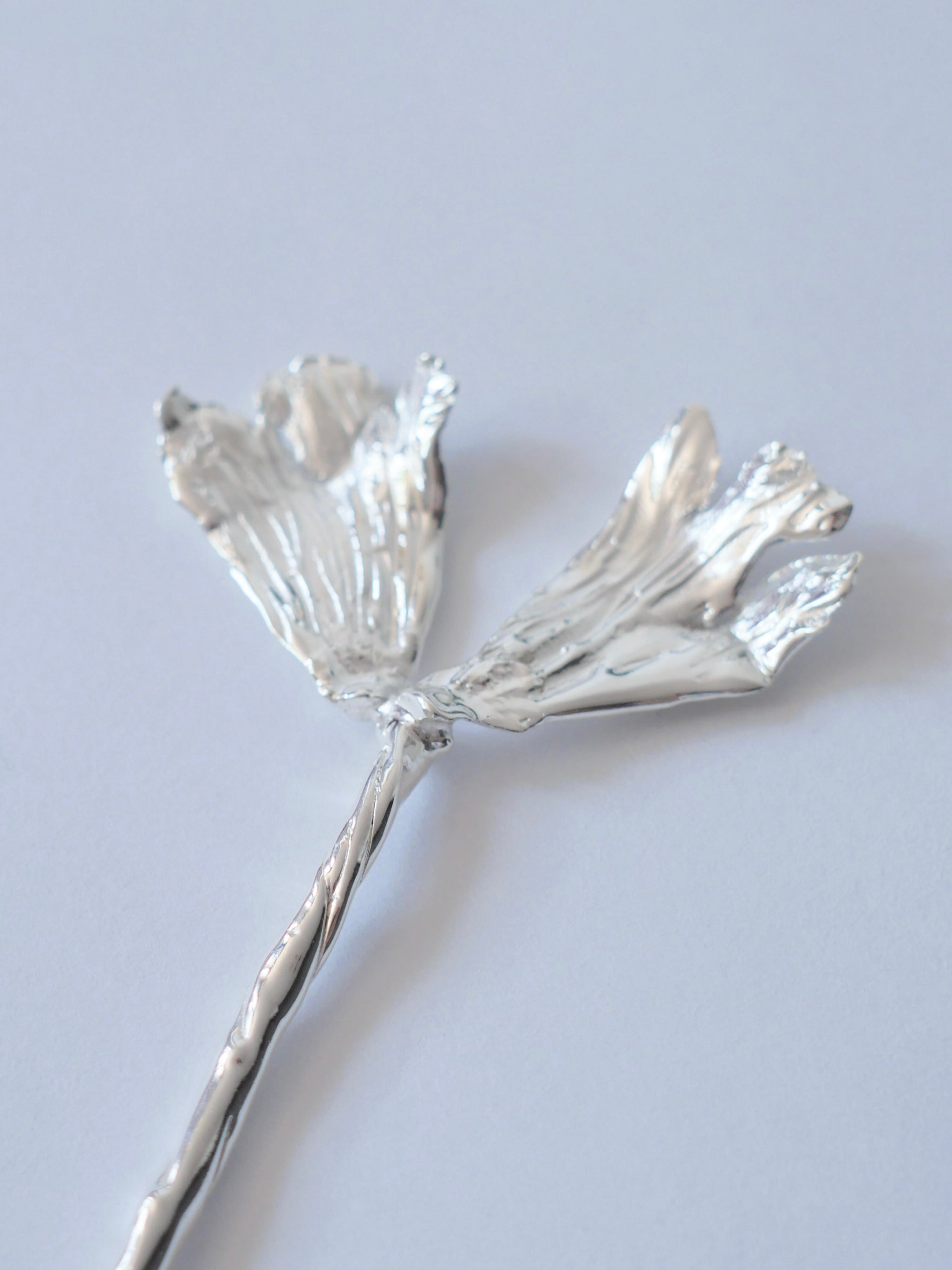 Cuchara palma