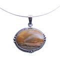 Collar Aspen