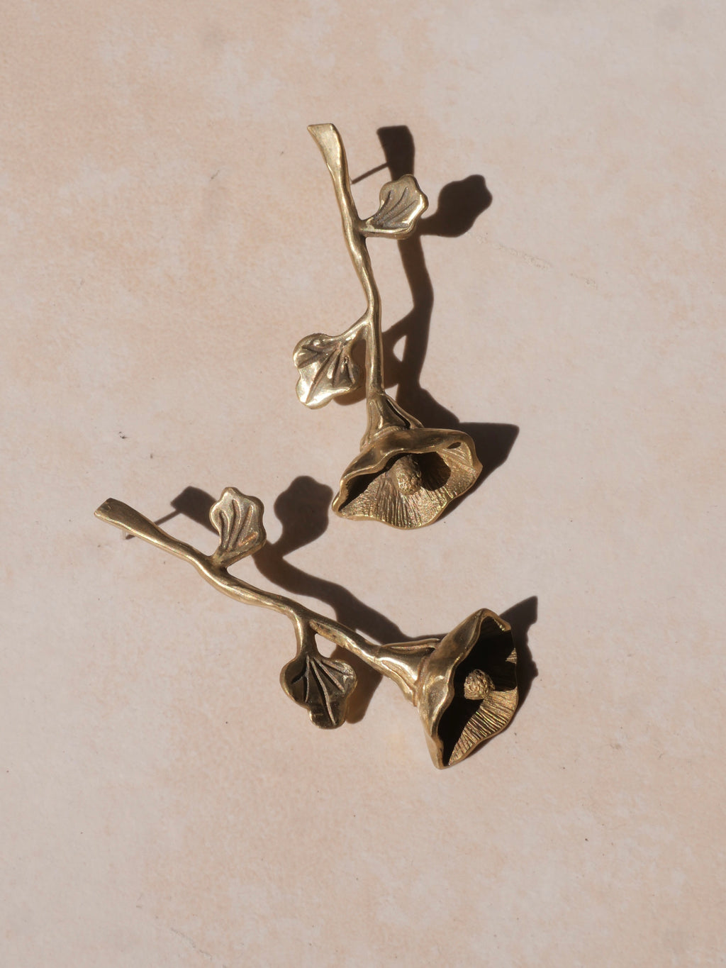 Aretes alcatraz