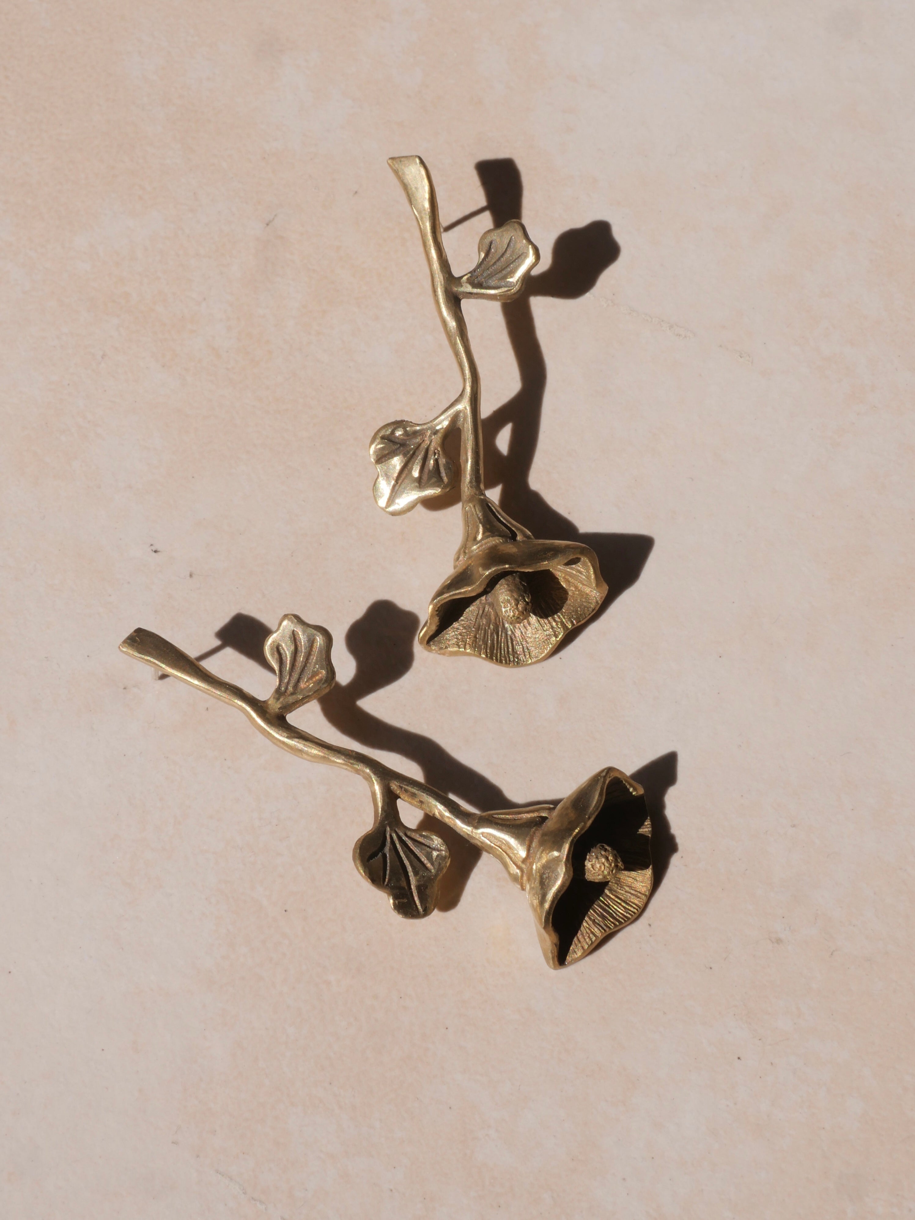 Aretes alcatraz