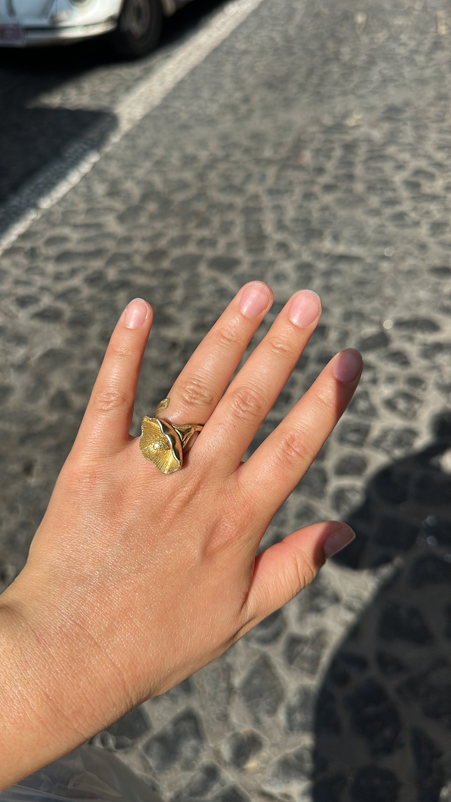 Anillo alcatraz