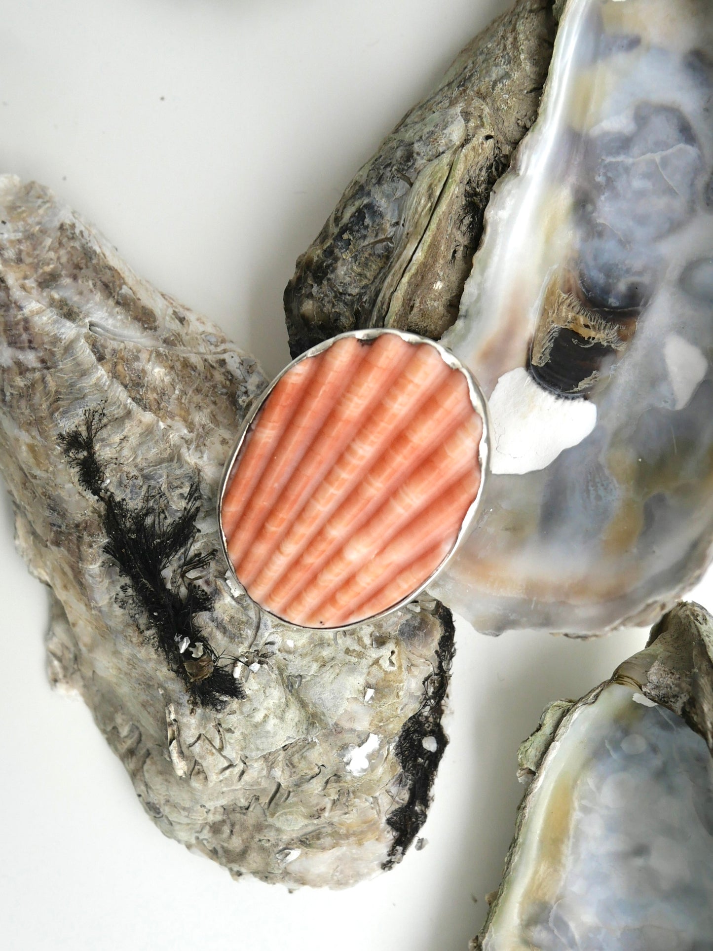 01 Spondylus ring