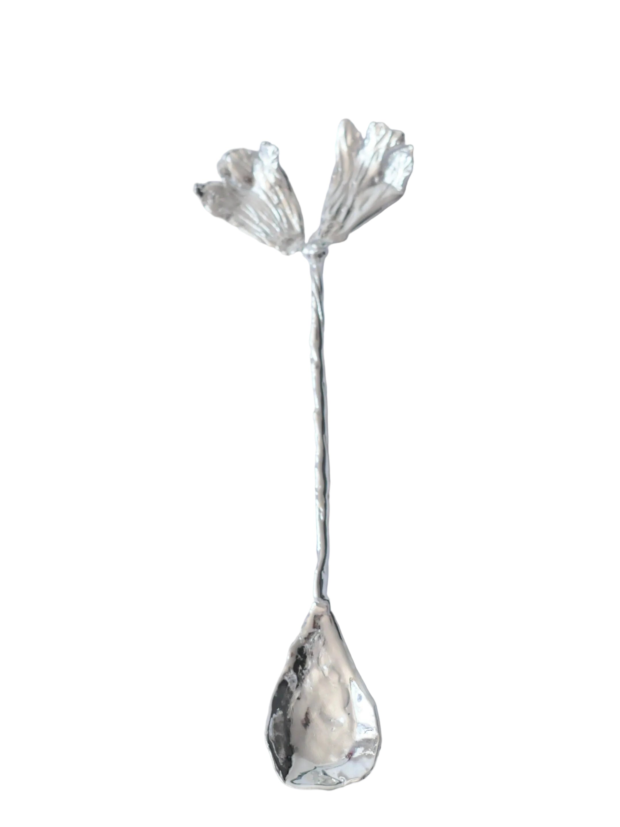Cuchara palma