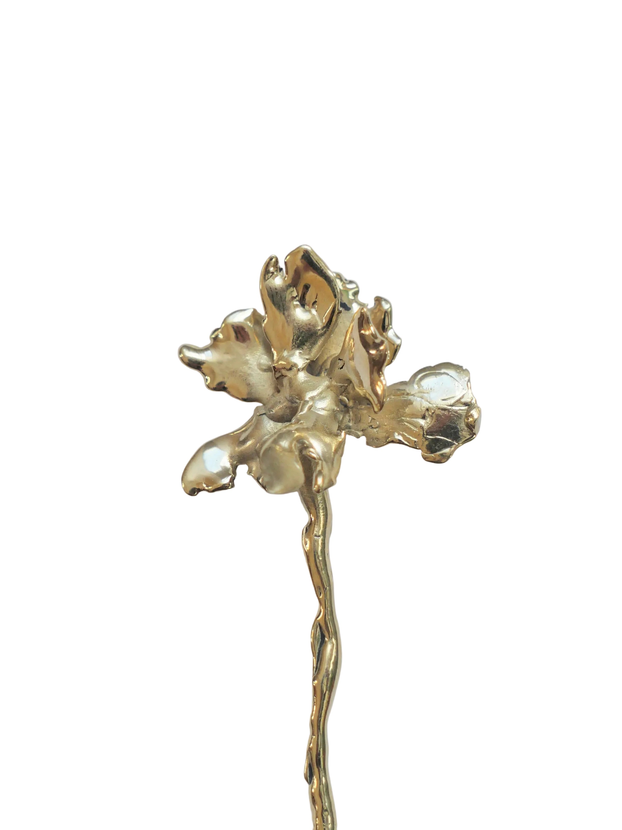 Pin clavel